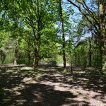 3e Zomertocht op 6 juli 2025 in Lokeren