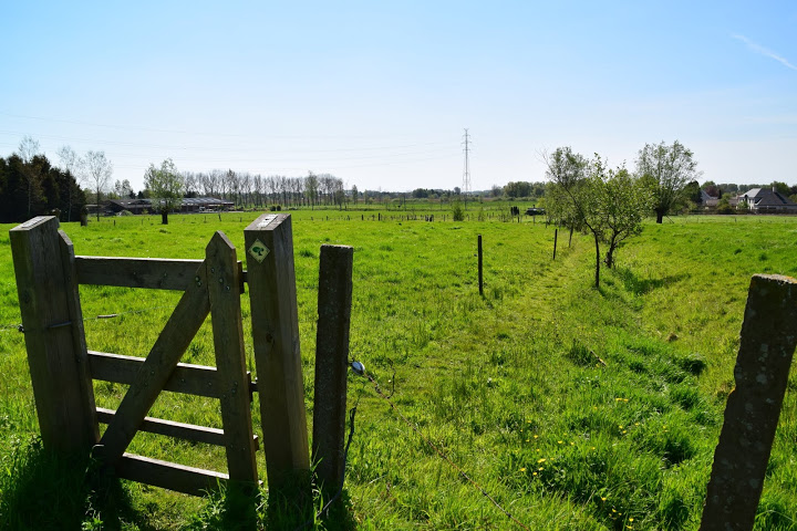 1e Zomertocht in Lokeren op 2 juli '2023