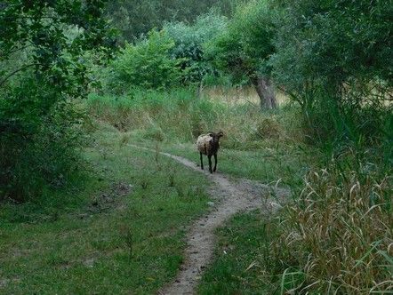 Voorkeurtocht "29e Dender- en Scheldetocht" bij "WJC Denderklokjes" in Lebbeke