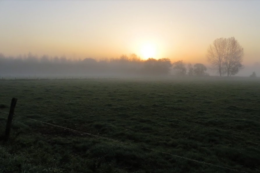 Busreis naar Bertem op zondag 21 oktober 2018