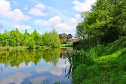 Voorkeurtocht "Vrijbuiterstocht" bij de Florastappers te Dikkelvenne op 13 mei 2018