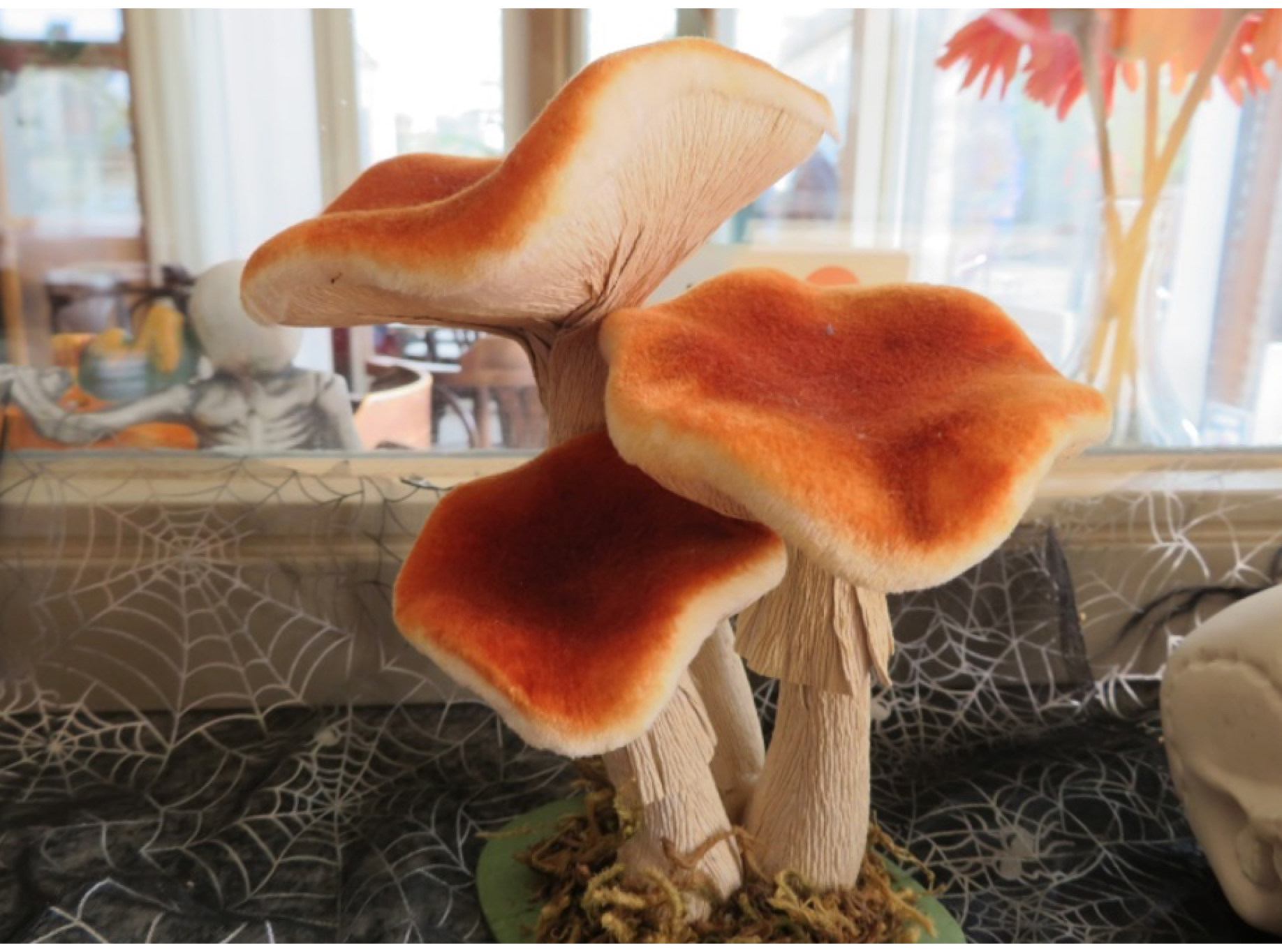 10e Herfsttocht in Belsele op zaterdag 26 Oktober 2024