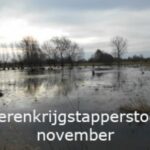 Voorkeurtocht bij De Boerenkrijgstappers in Berlare 13/11/22